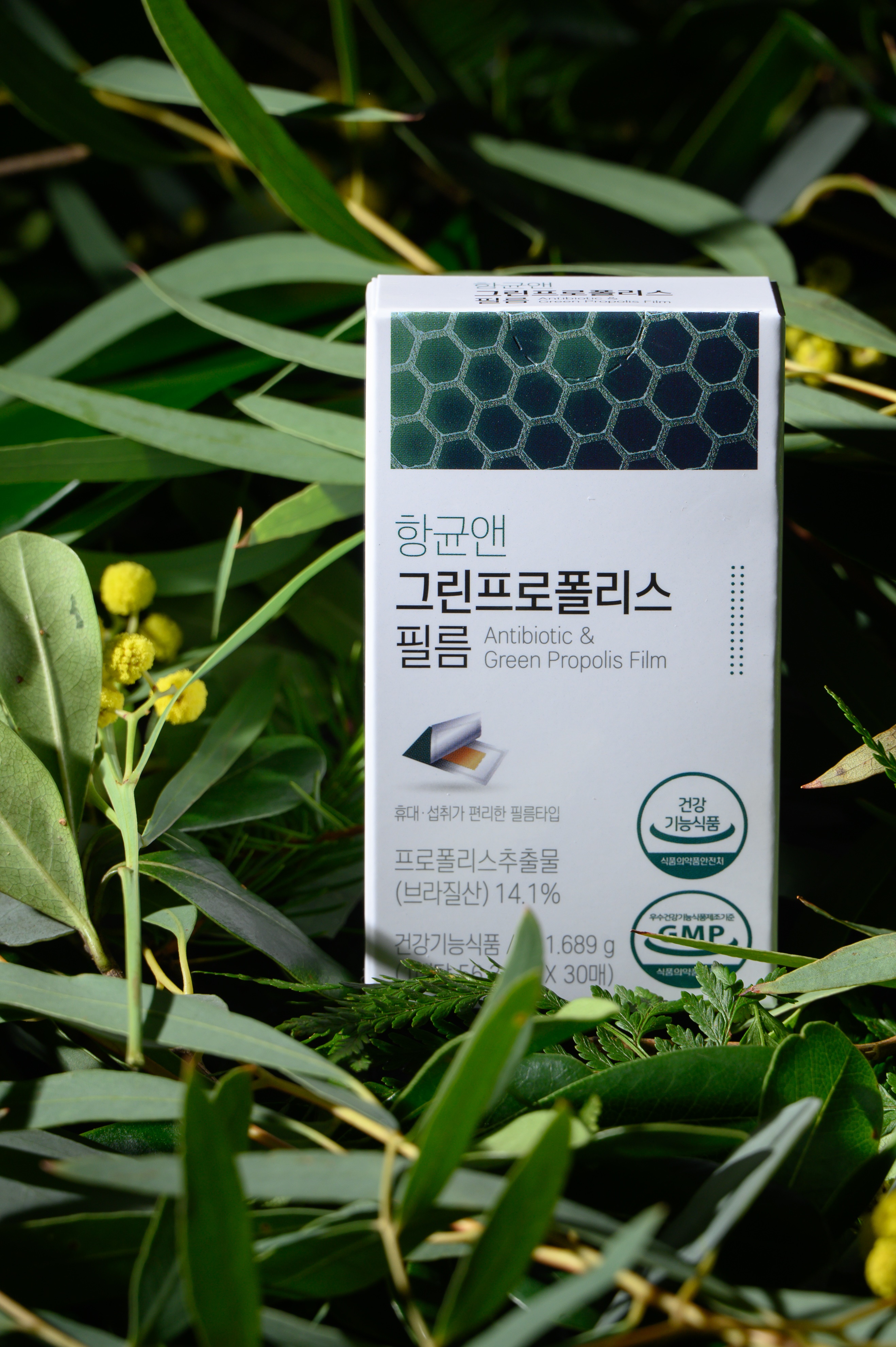 프로폴리스필름30매