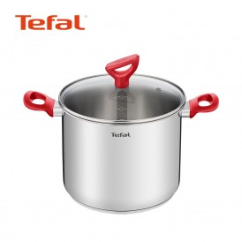 [테팔주방] 에디션 레드 인덕션 곰솥냄비 22cm